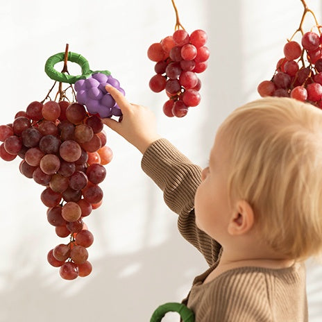 Kramtukas barškutis | Grape