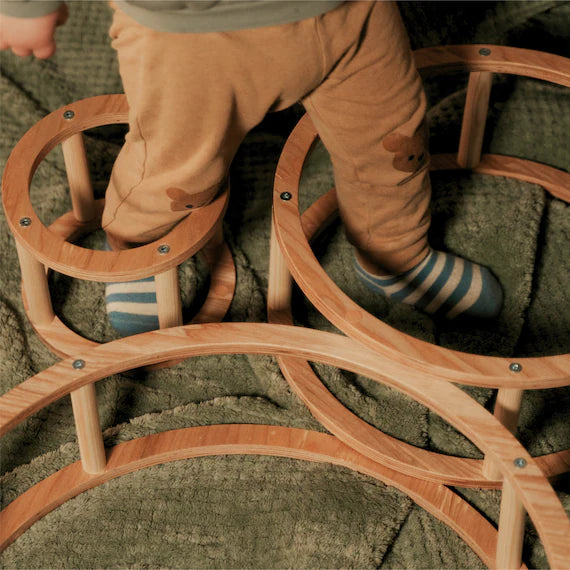 Montessori medinių žiedų rinkinys