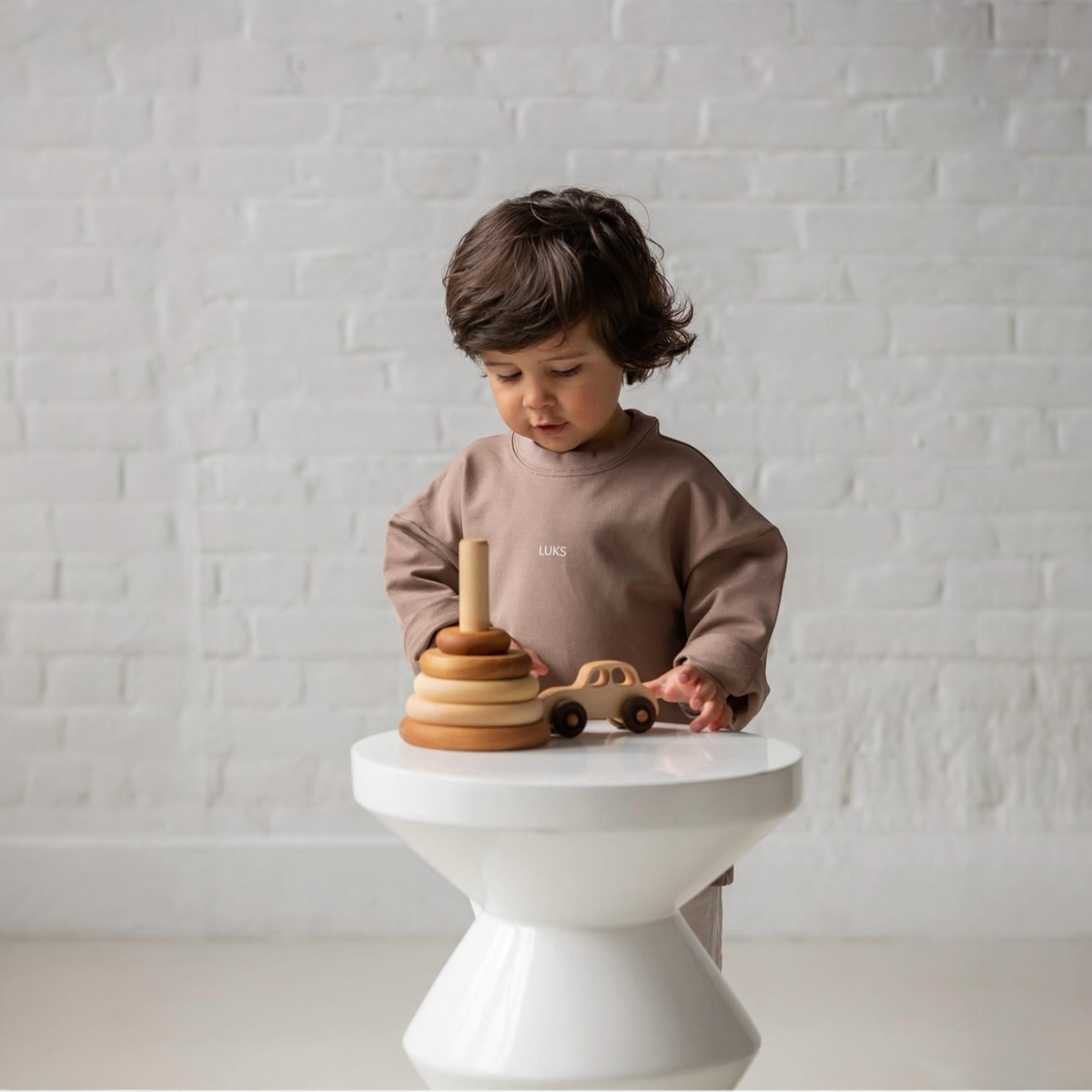 Montessori rūšiavimo žaislas